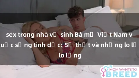 sex trong nhà vệ sinh Bà mẹ Việt Nam và cuộc sống tình dục: Sự thật và những lo lắng